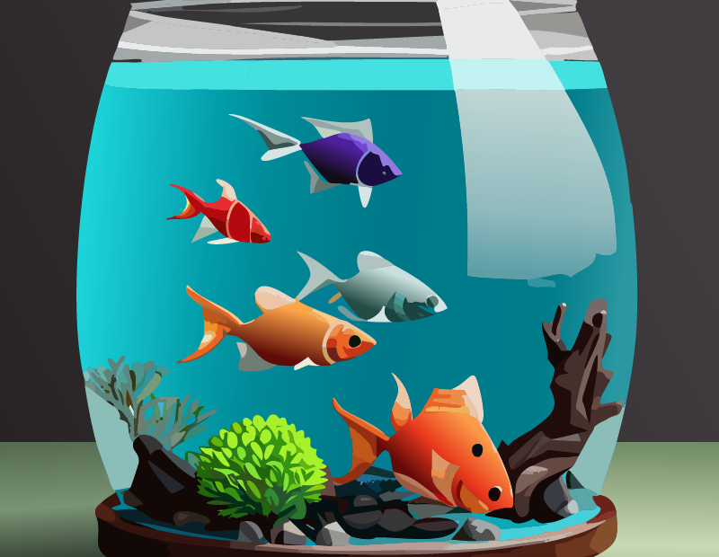 fish tank aquarium timer