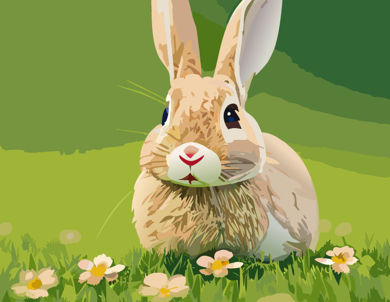 spring rabbit timer