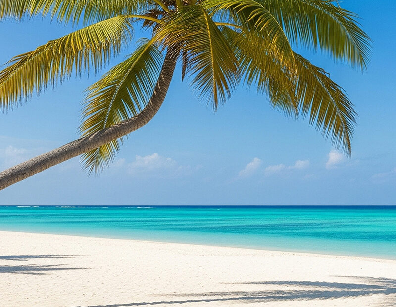 Relaxing Ocean Music Timer